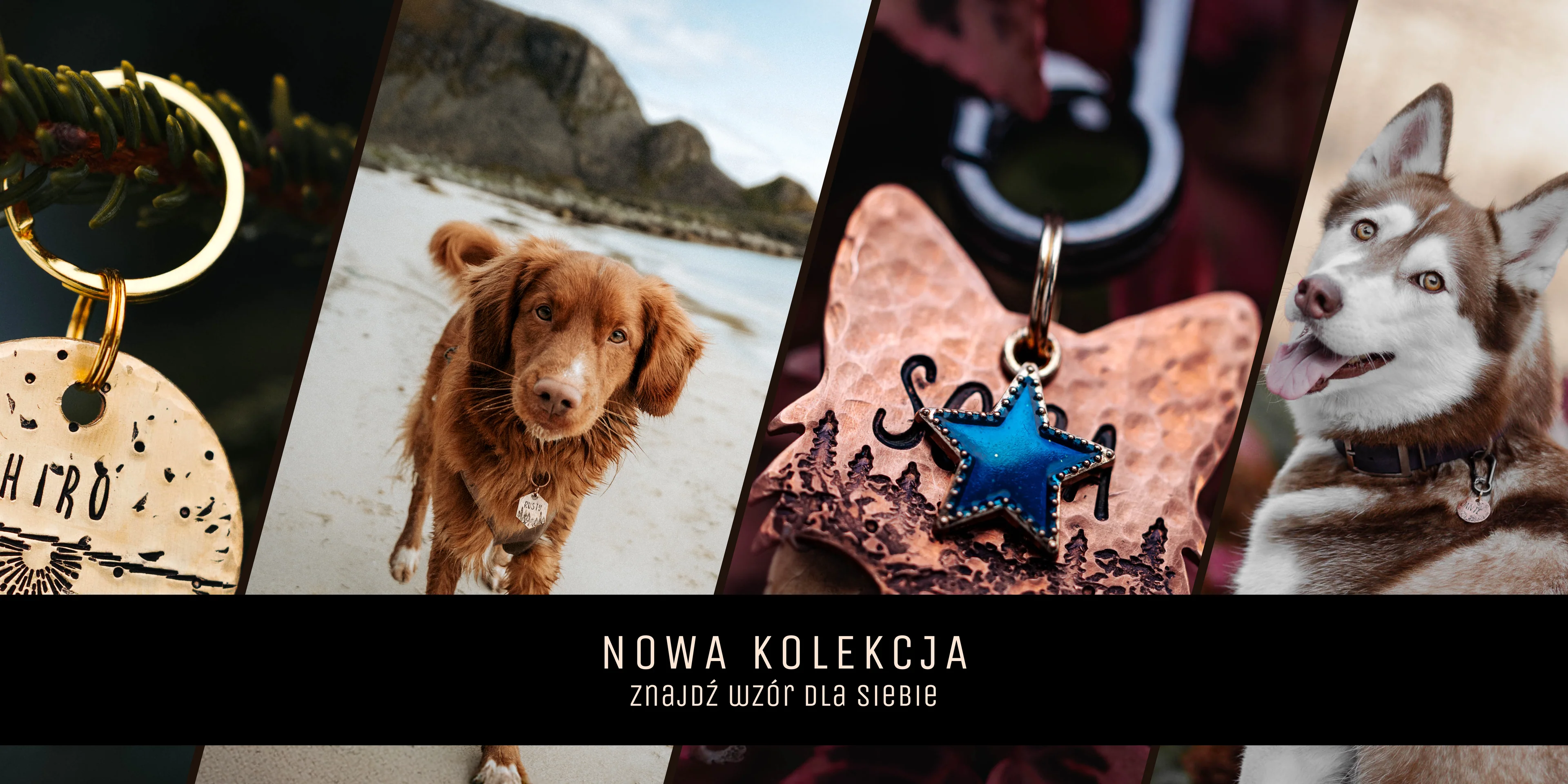 Styl i bezpieczeństwo Twojego psa
